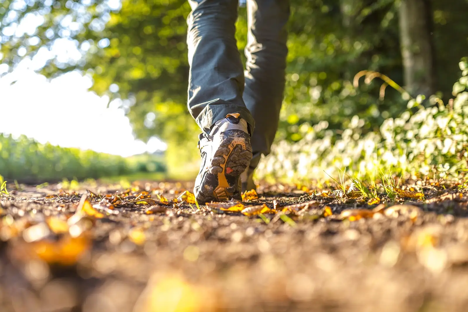 A hiker stepping over a dirt trail in hiking footwear.